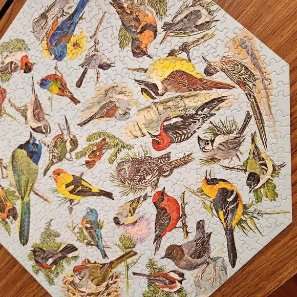 Vintage 500 Piece 1968 Springbok Octagon Puzzle Western Birds by Malick PZL 8015